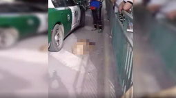 Indignante: Denuncian que carabinero asesinó a un perro en medio de un procedimiento policial en Quilicura