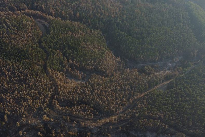 monocultivo scaled e1716922130450.jpeg