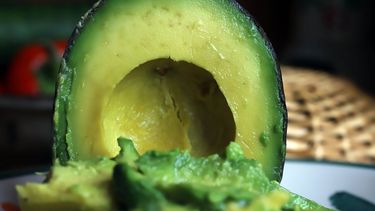 Imagen referencial sobre una palta - Agencia Uno