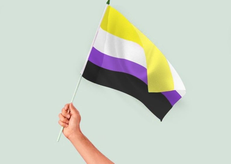 bandeira nao binaria.jpg