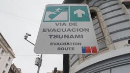 SHOA descarta riesgo de tsunami para las costas chilenas tras terremoto en México