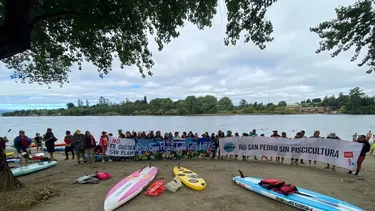 El Desconcierto | mas de 100 embarcaciones marchan en valdivia contra proyecto salmonero en el rio san pedro calle calle.webp