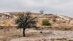 Especialistas plantean medidas para enfrentar la crisis hídrica en Coquimbo