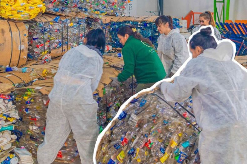 Las metas de reciclaje están en vilo por escaso conocimiento ciudadano y municipal, además de una baja transparencia en los procesos licitatorios.