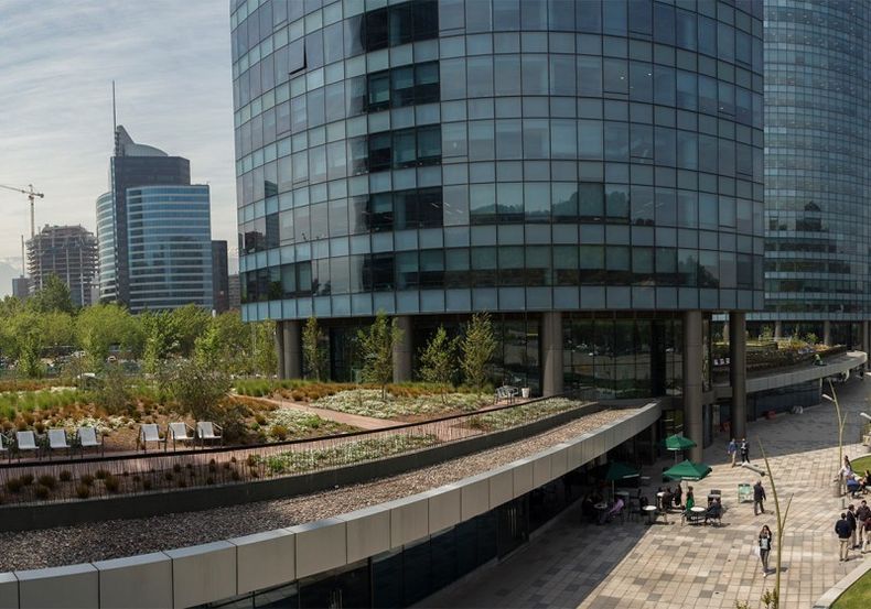 Techo verde en Chile.jpg