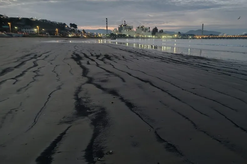 20122 varamientos carbon.webp