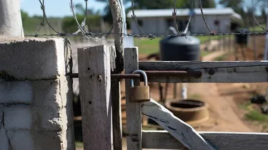 Ocuparon parcela ajena, cerraron accesos, talaron árboles nativos y construyeron casa: Suprema ordena restitución de terreno