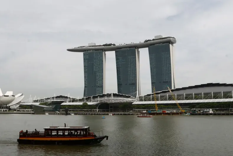 10222 diseno sin titulo 10.webp