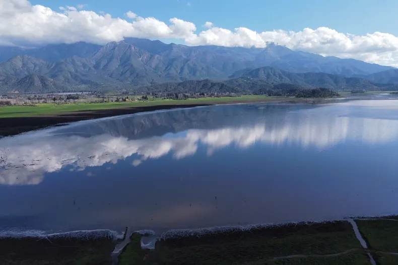 27901 a uno 1495234.webp