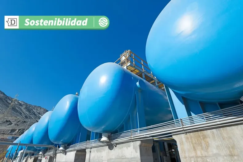 19144 diseno sin titulo 2025 07 14t161307.webp