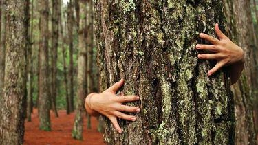 El Desconcierto | ecologia profunda.jpg