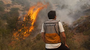 Greenpeace e incendios en Aysén: “El cambio climático actuará como nuevo combustible para la propagación de incendios en la Patagonia”