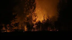 Cable eléctrico de 20 años sin mantención provocó incendio forestal: Juzgado condenó a eléctrica a indemnizar a dueños de predios