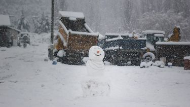 FOTOS| Hasta 23 centímetros de nieve: Las bellas imágenes que dejó la primera nevazón del año en Aysén