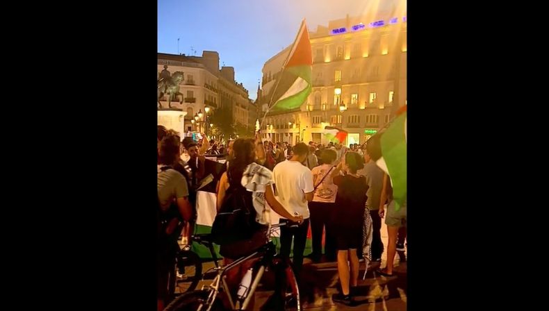 Madrid pro Palestina.jpg