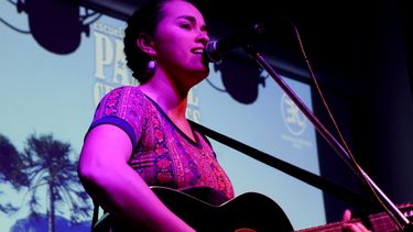 El Desconcierto | Cedida Javiera Hinrichs.jpg