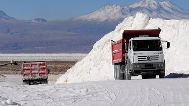 Boric: Hay muchos inversionistas extranjeros interesados en explotar litio con nosotros