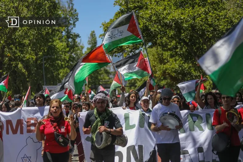 17461 personas en una marcha a favor de palestina.webp
