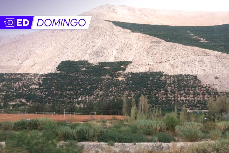 503d1c2e d3a1 48e9 8e41 5517c9472a27.jpg