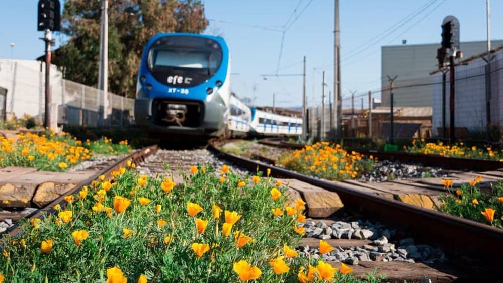 Anuncian regreso del tren entre Concepción, Chillán y Santiago