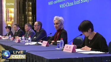 Jefe de la misión OMS en Wuhan: Origen del virus en un laboratorio es “extremadamente improbable“