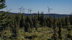 Desmantelar un parque eólico: El desafío al que se acerca Chile sin claridad sobre cómo gestionar los residuos Desmantelar un parque eólico: El desafío al que se acerca Chile sin claridad sobre cómo gestionar los residuos