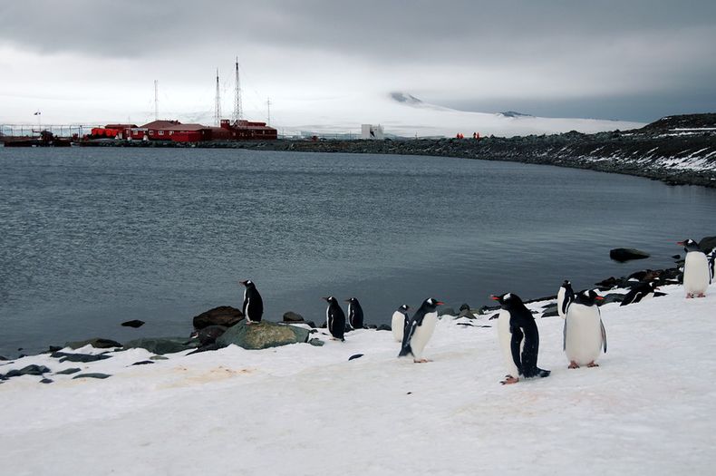 documental que narra 7 historias de la antartica chilena competira en destacado festival internacional.jpg