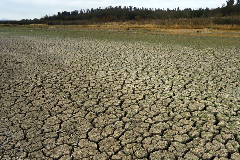 Crisis climática y sequía afectan al mundo - Agencia Uno