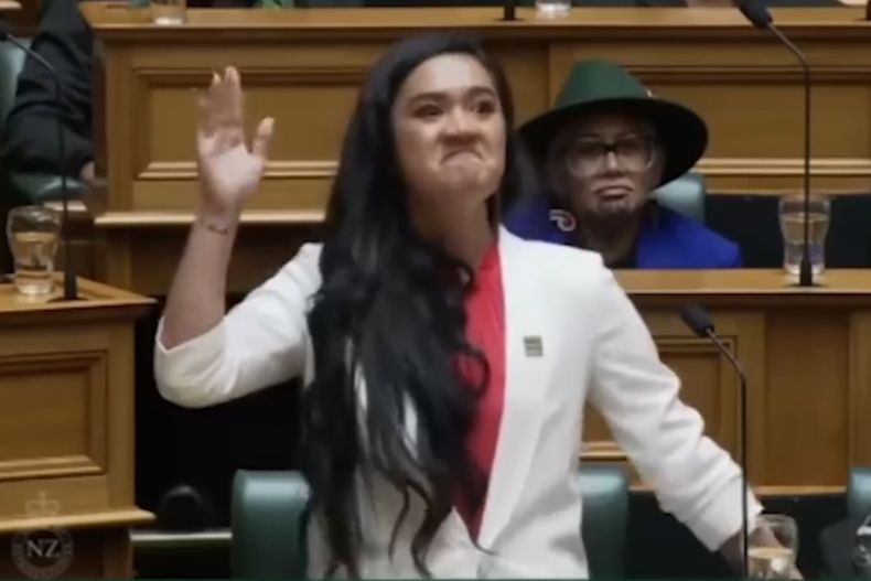 Diputada Parlamento Nueva Zelanda.jpg