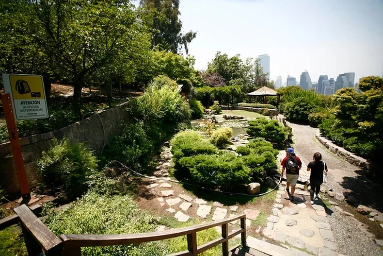 24841 jardin.webp