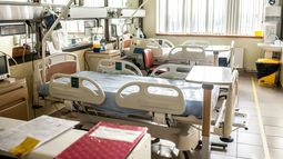 Organización Mundial de la Salud y nueva hepatitis infantil: “Es un tema muy urgente”