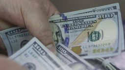 Dólar sigue su desplome en enero y cotización cayó hasta los $800