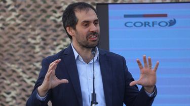 El Desconcierto | ministro de economia adelanto plan de reconstruccion productiva por incendios forestales.jpg