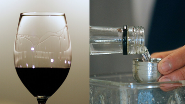 Vino y pisco chileno deleitando paladares a nivel mundial: Recibieron importantes reconocimientos