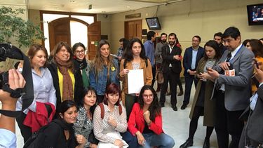 Diputadas de la oposición unidas ingresan acusación constitucional contra Santelices: No es una acción testimonial