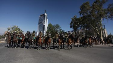 No pueden abusar de los animales: Proyecto busca que Carabineros no exponga a los animales en manifestaciones