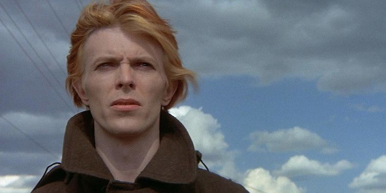 bowie.jpeg