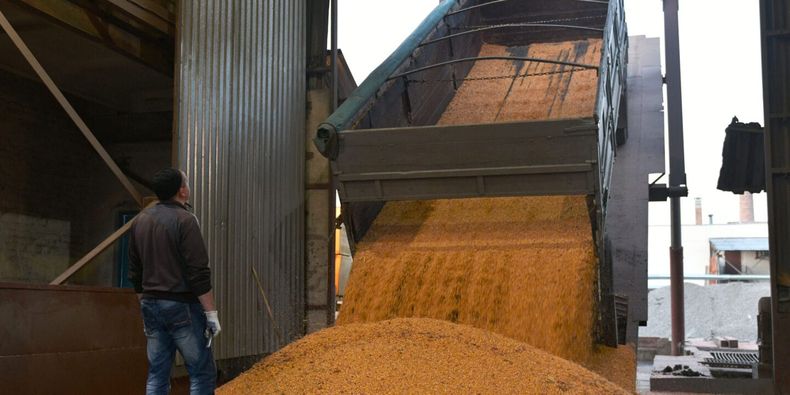 Unloading corn grains_FAO_24899_TL3JF 1440x720 min.jpeg