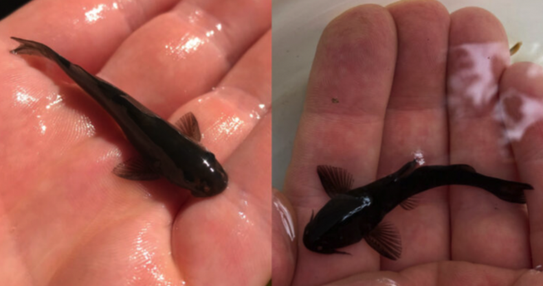 Captura de Pantalla 2023 10 10 a las 19.38.52 e1696977548429.png