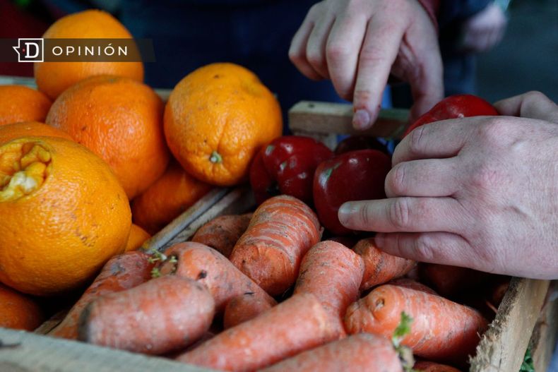 5129 imagen de verduras en una caja siendo revisadas por unas man.jpg