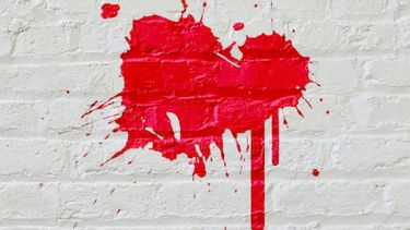 Crimen en Perú en que 4 adultos mayores fueron asesinados por adolescentes llega en libro Masacre