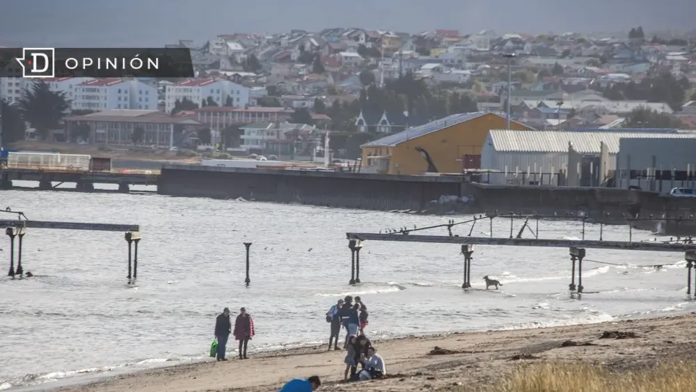 Las fallas del libre mercado y una gran expropiación en Punta Arenas
