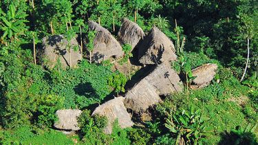 Mineros asesinan a tiros a miembros de tribu indígena que nunca había tenido contacto con otras personas
