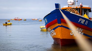 Grau compromete urgencia a proyecto que permite a pescadores desplazarse por regiones