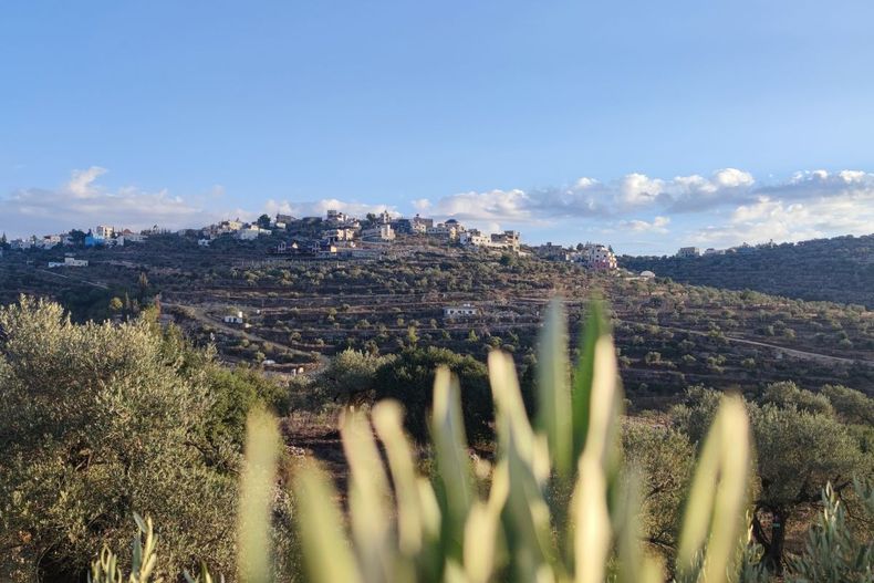 Imagen de campo en Palestina&nbsp; / Crédito: Leire Lakarra