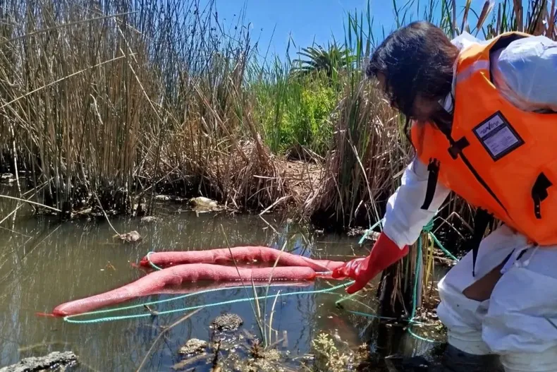 30232 diseno sin titulo 2026 02 19t114553.webp