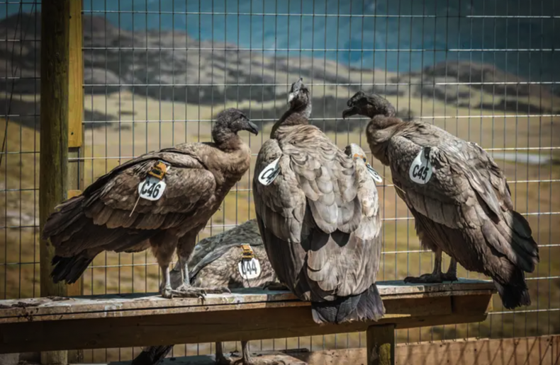 Captura de Pantalla 2024 02 15 a las 18.50.05 e1708033818221.png