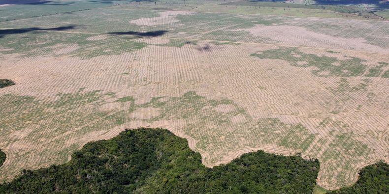 soy deforestation brazil 1440x720 1.jpg