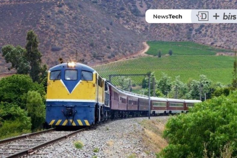 desde tren al sur hasta viajes del recuerdo redes sociales festejan servicios veraniegos e1673550436396.jpeg