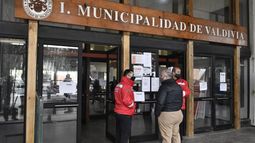 Daño ecológico en Valdivia: Tribunal Ambiental abre investigación por obras en humedal